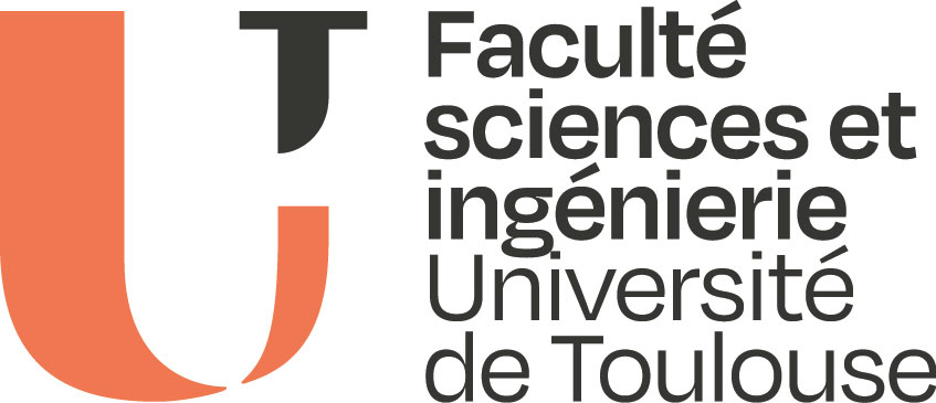 FSI